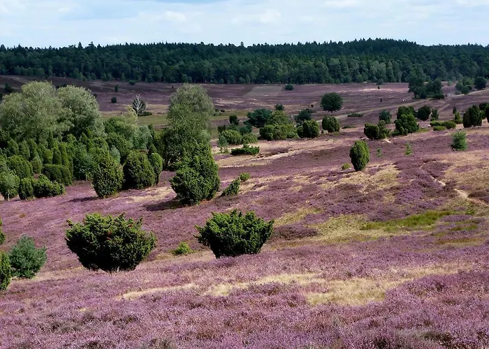 Grosses Premium Haus Bei Lueneburg - Style & Comfort *